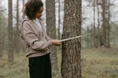 A young woman in a forest measuring the trunk of a tree with a tape measure.
